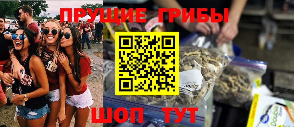 Псилоцибиновые грибы MAGIC MUSHROOMS  Вход с VPN  Псилоцибиновые грибы мухоморы  где продают   Видное 