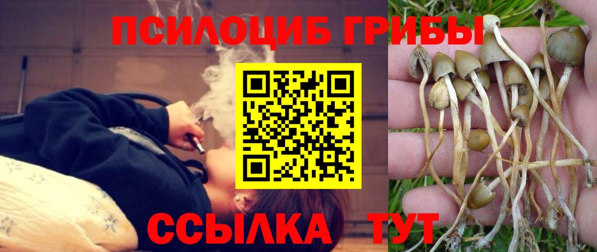 Галлюциногенные грибы Magic Shrooms Видное